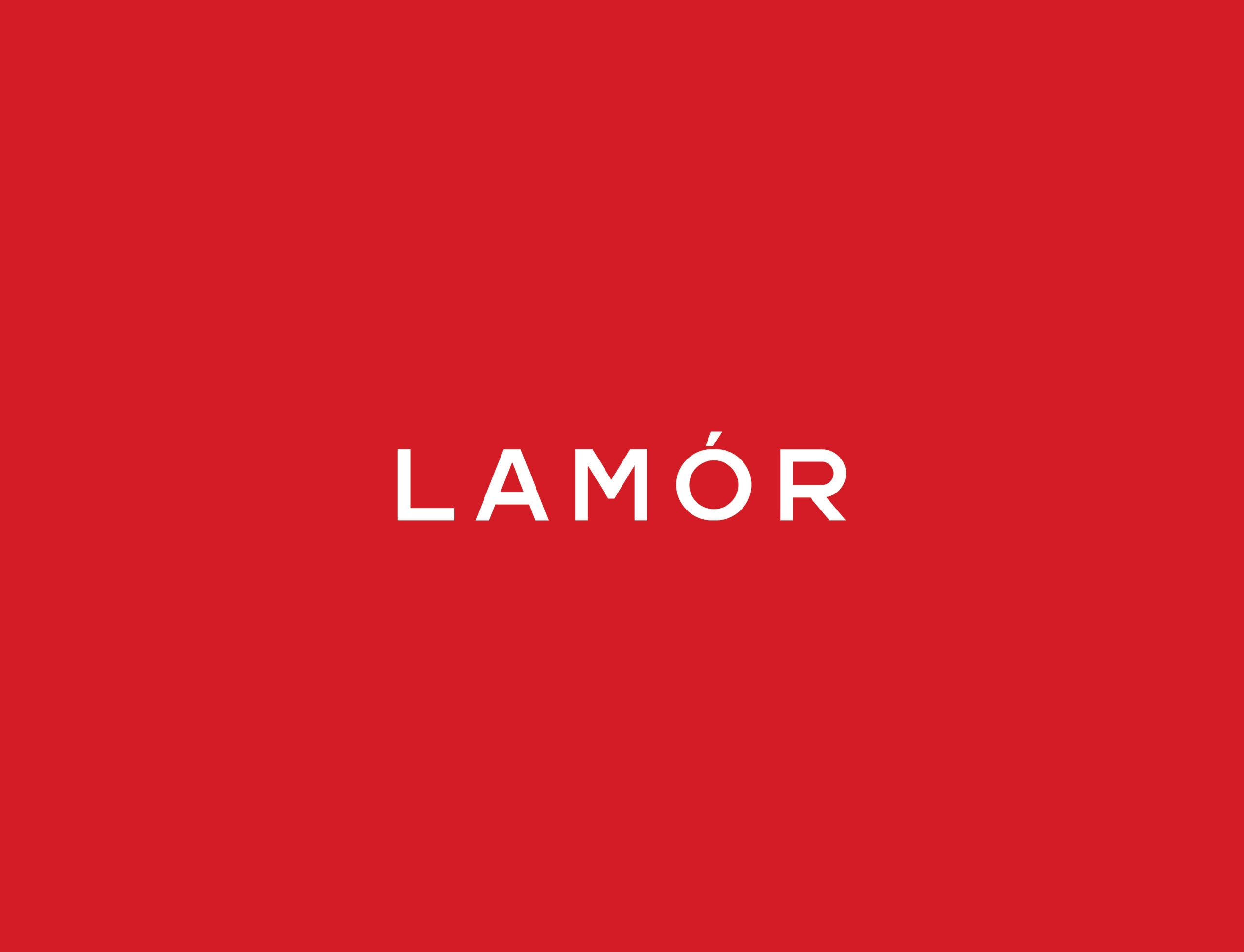 Lamor-presentation-19-1